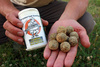 Imperial Baits Carptrack GLM full-fat 500g