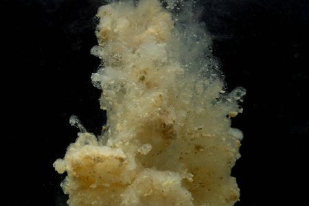 Sticky Baits Manilla Active Mix 900g