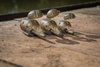Matrix Inline Maggot Feeders Medium