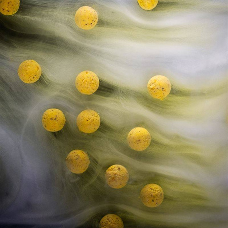 Mainline Smart Liquid Squid 250ml