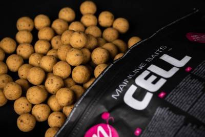 Mainline Shelf Life Boilies Cell 20mm 1kg