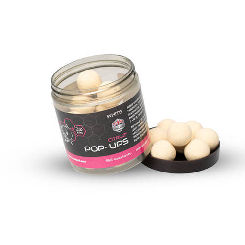 Nash Citruz White Pop Ups 20mm