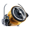 Daiwa GS BR LT 5000-C