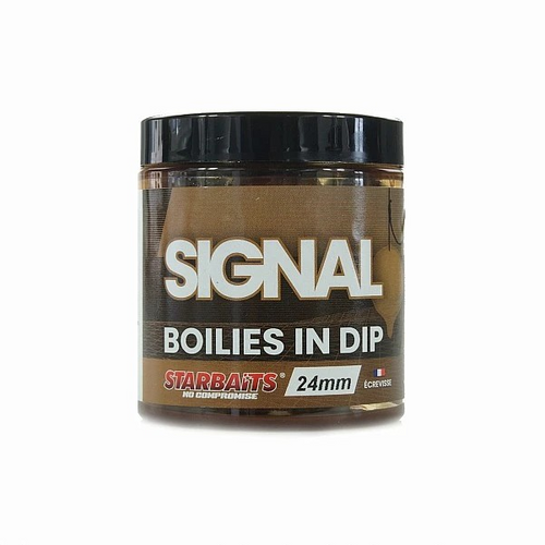 Starbaits Signal Boilies in Dip 24mm
