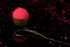 Sticky Baits Buchu Berry Pop Ups 12mm