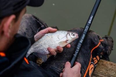 Guru A-Class 3m Whip