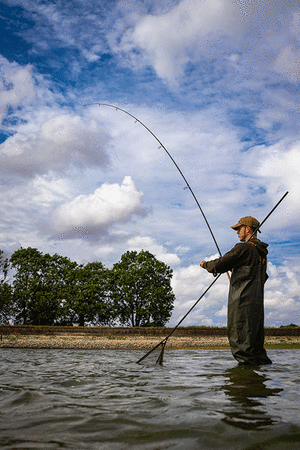 Fox Horizon X3 Abbreviated Handle