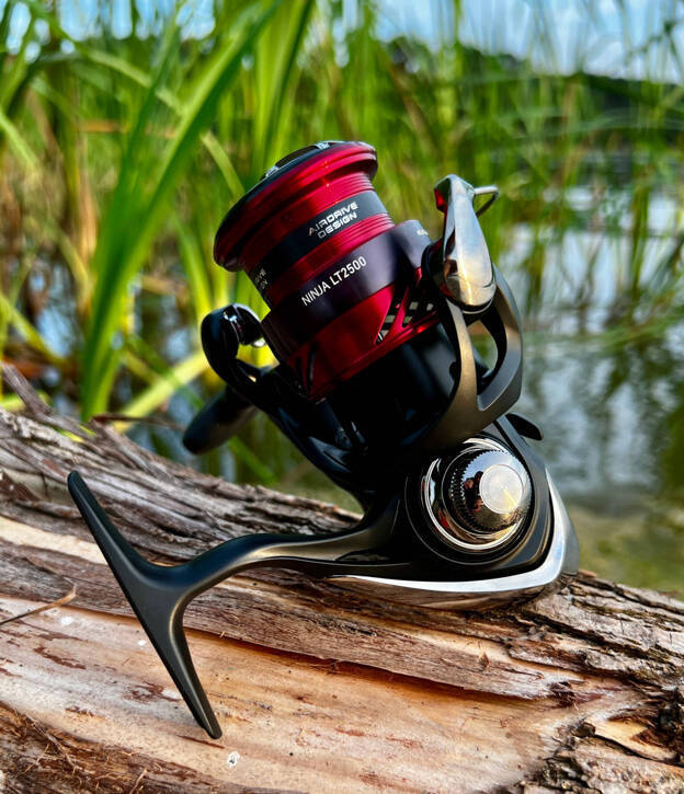 Daiwa Ninja Feeder LT 6000 SS New Model | FEEDER  Sprzęt