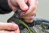 Matrix Carp Landing Nets 45x 35cm