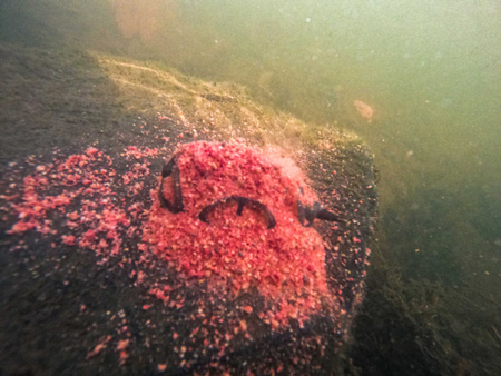 Korum Camo River Method Feeders 120g