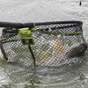Matrix Carp Scoop Landing Net