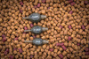 Matrix Inline Pellet Bomb 10g
