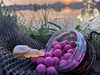 Ultimate Products Mulberry Pop Up 12mm