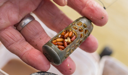 Preston Absolut Window Feeder Cage Small 30g